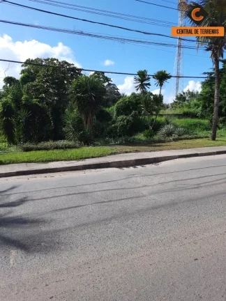 Foto do imóvel TERRENO EM LAURO DE FREITAS - CAJI