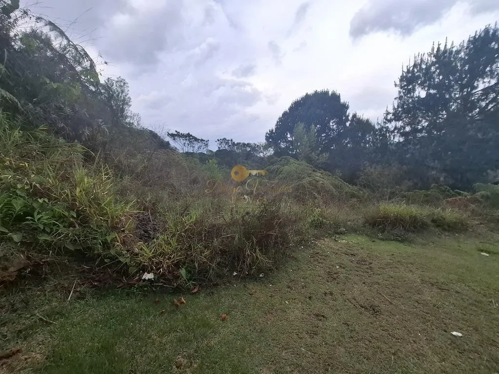 Imagem Terreno em Condomínio para Venda em Teresópolis / RJ no bairro Albuquerque