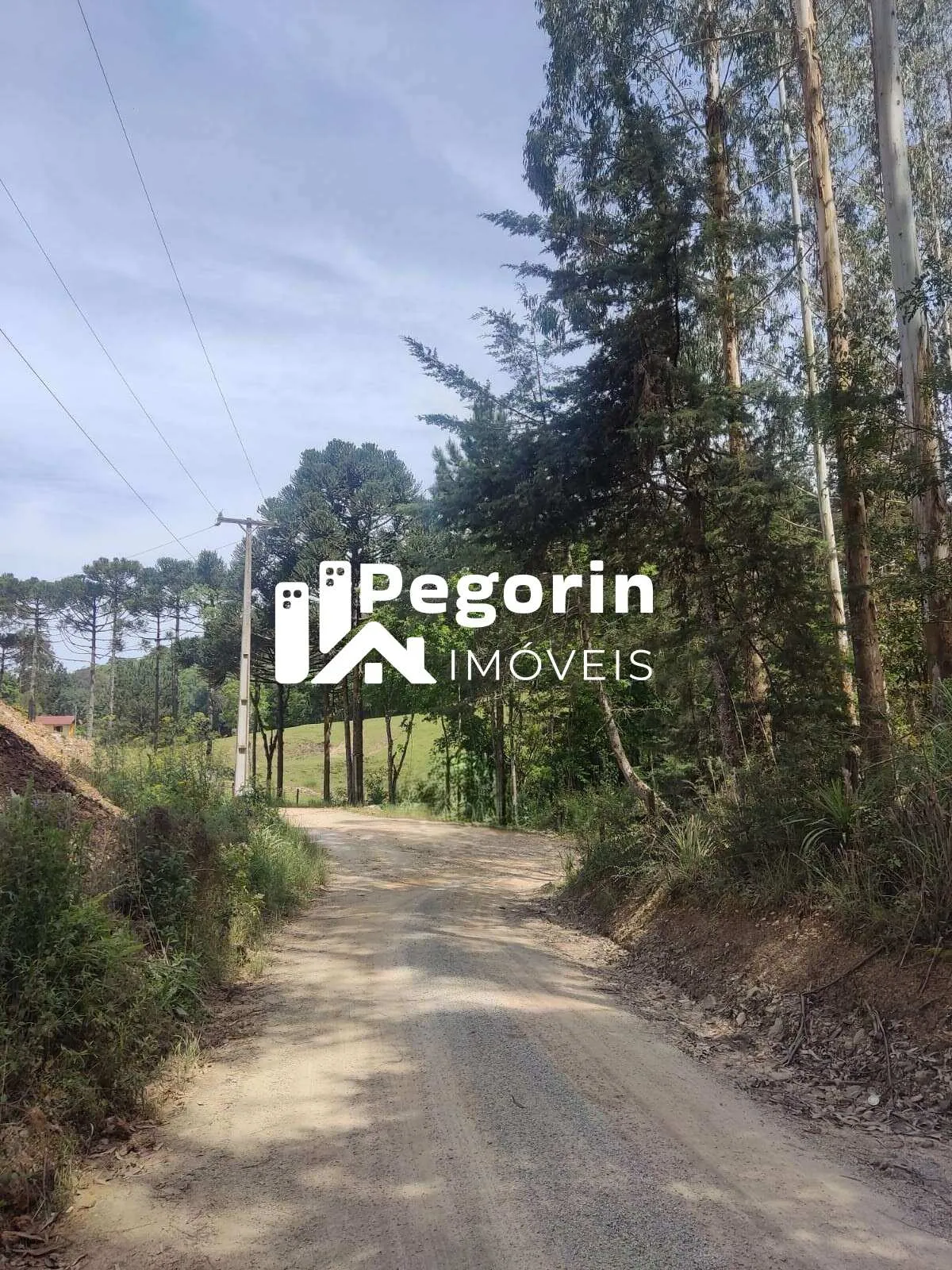 Imagem Chácara para Venda, Campo Magro / PR, bairro Hervalzinho, área total 24.397,00 m²