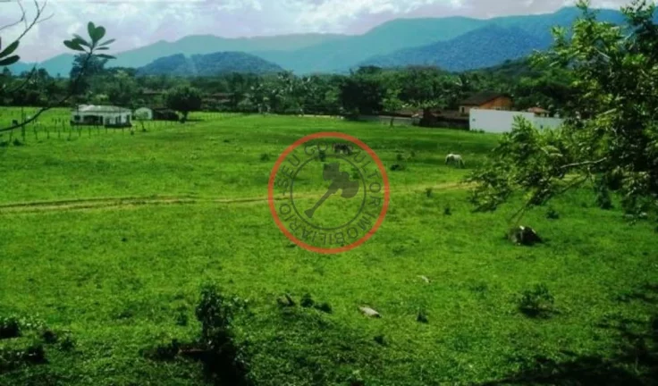 Imagem FAZENDA COM 55 MIL METROS DE AREA UTIL EM SAO SEBASTIAO