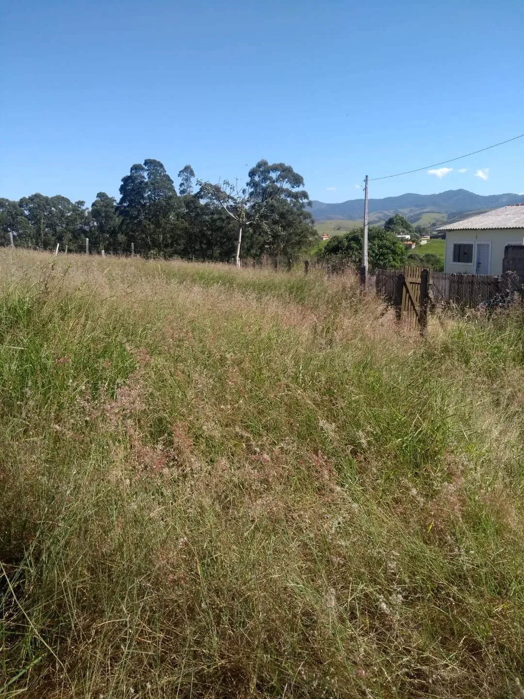 Imagem Chácara à venda 1500M², Residencial Pinheiros, Taubaté - SP