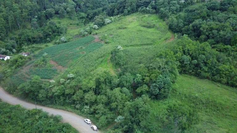 Imagem Terreno para Venda em Concórdia, Primavera
