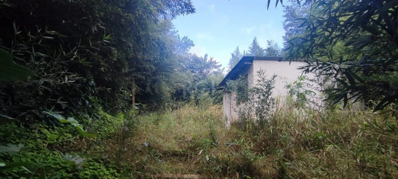 Imagem Terreno no bairro Nonoai