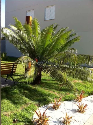 Imagem Apartamento Padrão