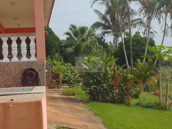 Imagem CHÁCARA JARDIM CANANEIA PILAR DO SUL