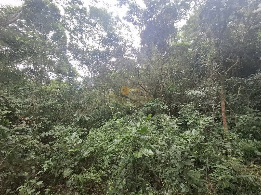 Imagem Terreno para Venda em Teresópolis / RJ no bairro Córrego das Pedras