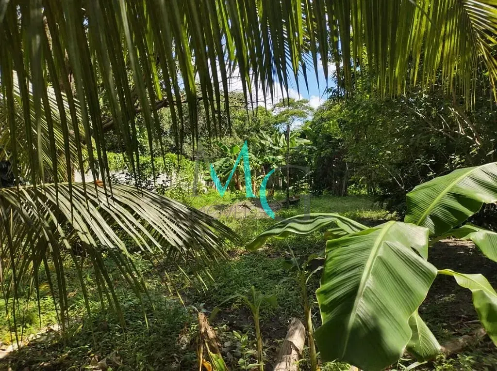 Imagem Área à venda, 7339 m² por R$ 6.300.000,00 - Campo Grande - Rio de Janeiro/RJ