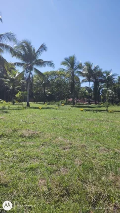 Foto do imóvel LOTE 21 À VENDA NO LOTEAMENTO UIRAPORAN