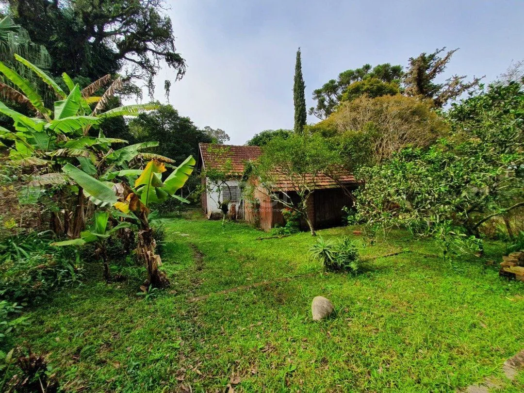 Imagem DOIS GRANDES TERRENOS localizados