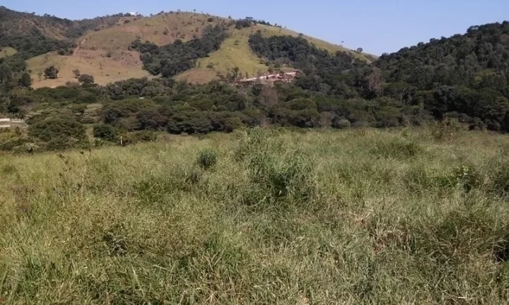 Imagem Linda Área para Loteamento em Piracaia 20 alqueires