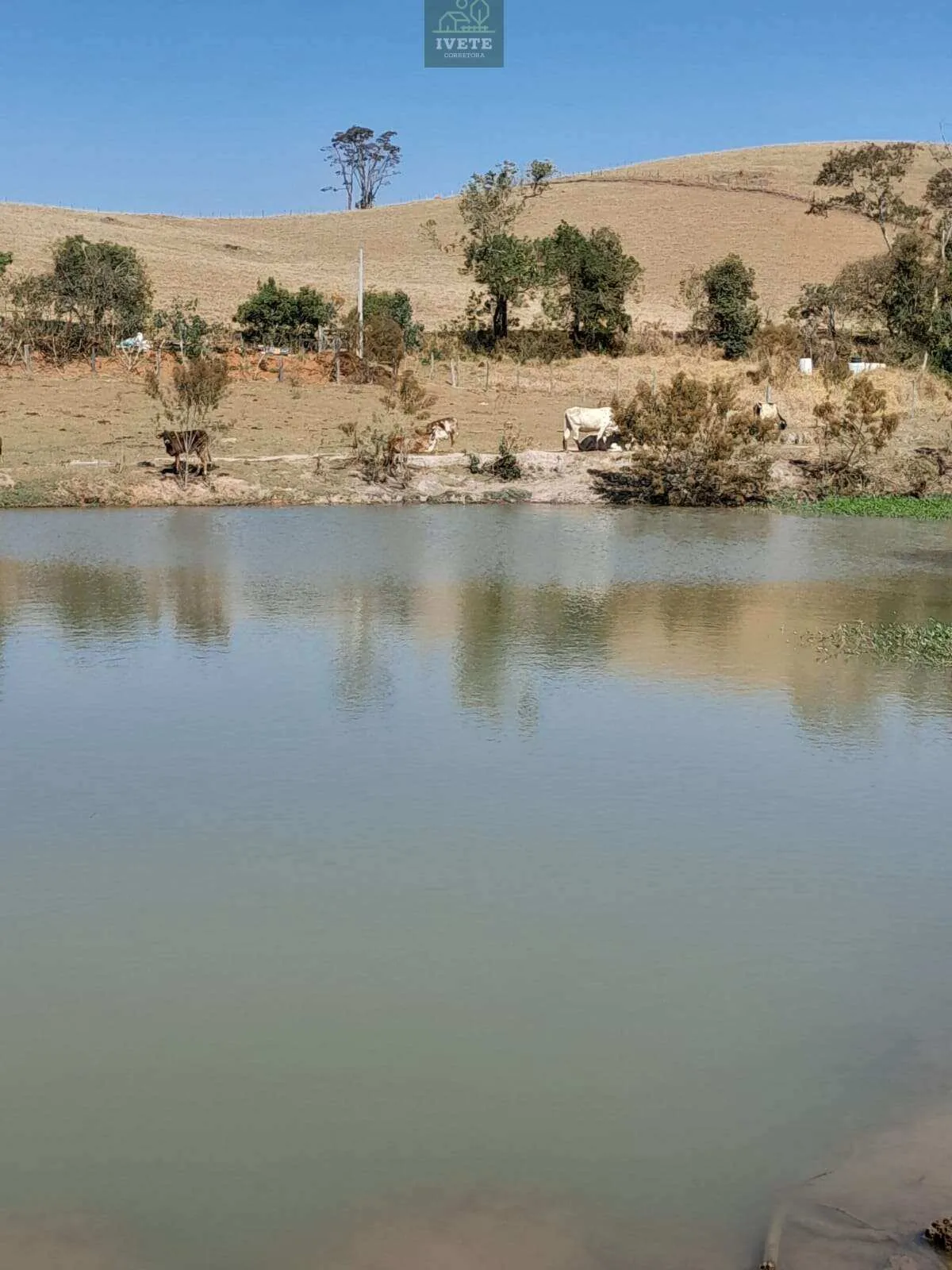 Imagem Terreno incrível para criação de animais e plantio