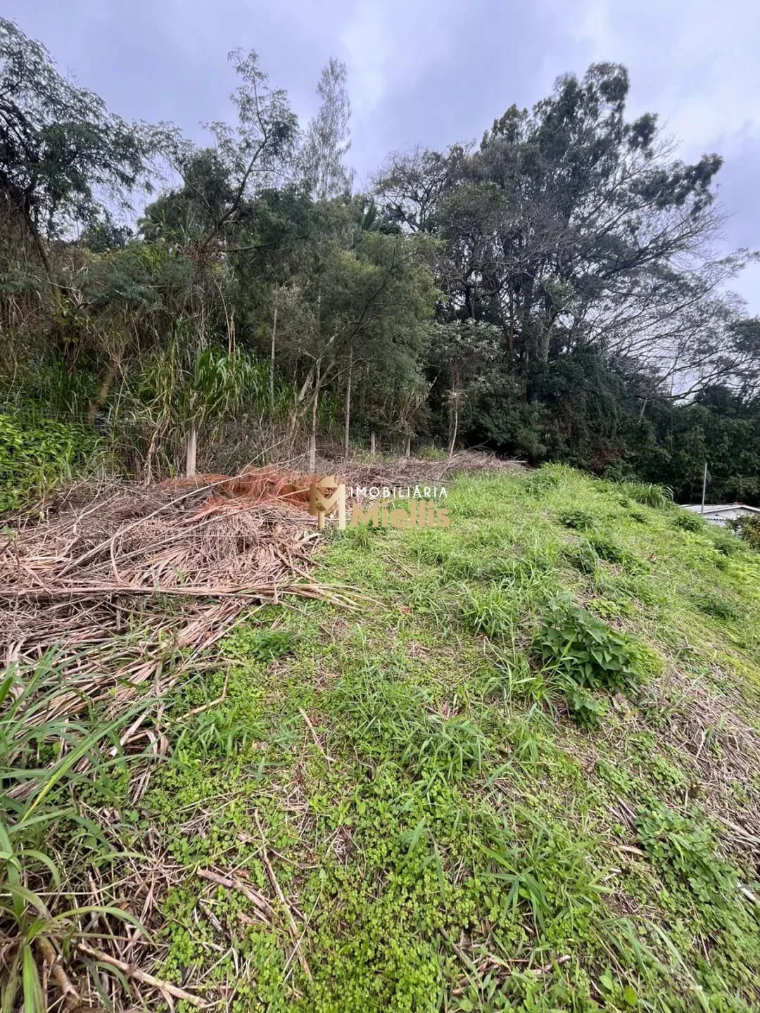 Imagem Terreno a venda com 1.724,42m² próximo ao Colégio Calábria na Vila Nova