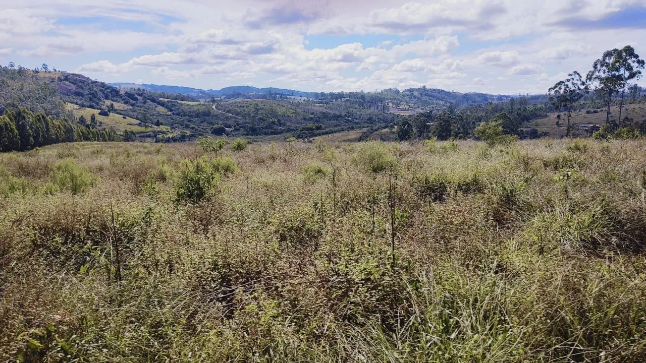 Imagem Excelente Terreno à Venda em Desterro de Entre Rios: 15 Hectares Totalmente Plano