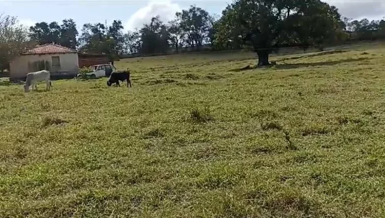 Imagem Sitio com água abundante - OPORTUNIDADE no Interior de São Paulo