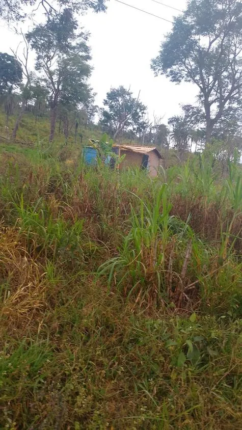 Imagem VENDO FAZENDINHA NA REGIÃO DE Brumadinho / MG Área total de 14 hectares