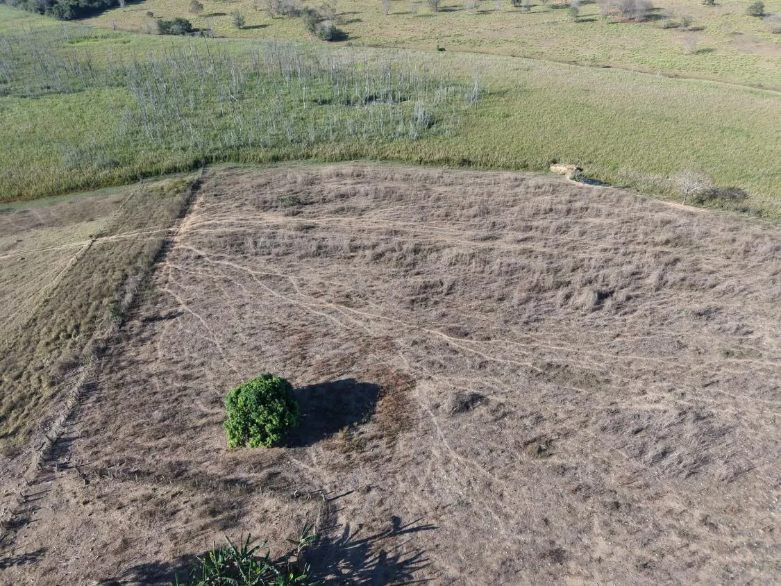 Imagem Fazenda à Venda em Papagaios/MG ? 150 Hectares