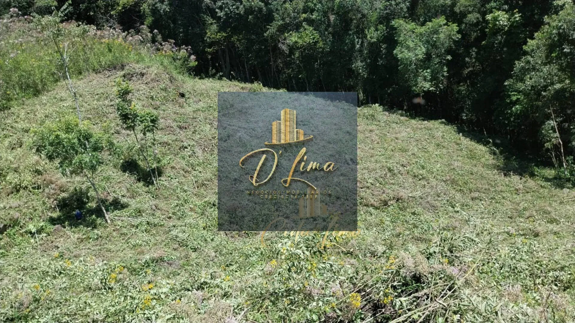 Imagem Vendo sítio/ Chácara, 12 Hectares em Alfredo Wagner SC.