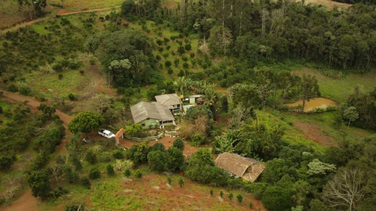 Foto do imóvel Área Agrícola para Venda em Concórdia, Rodovia em Sc-390