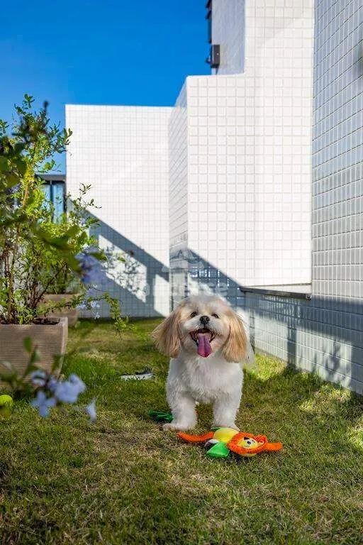 Imagem Apartamento à venda com 2 quartos 1 suíte, 72,05m² em Kobrasol São José