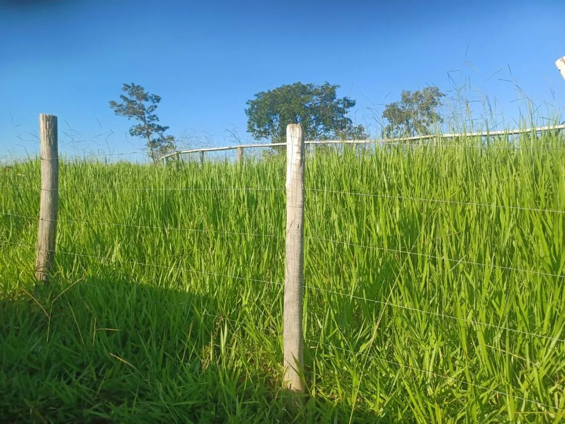 Imagem Vendo excelente fazendinha em Esmeraldas/MG 78 hectares de terra