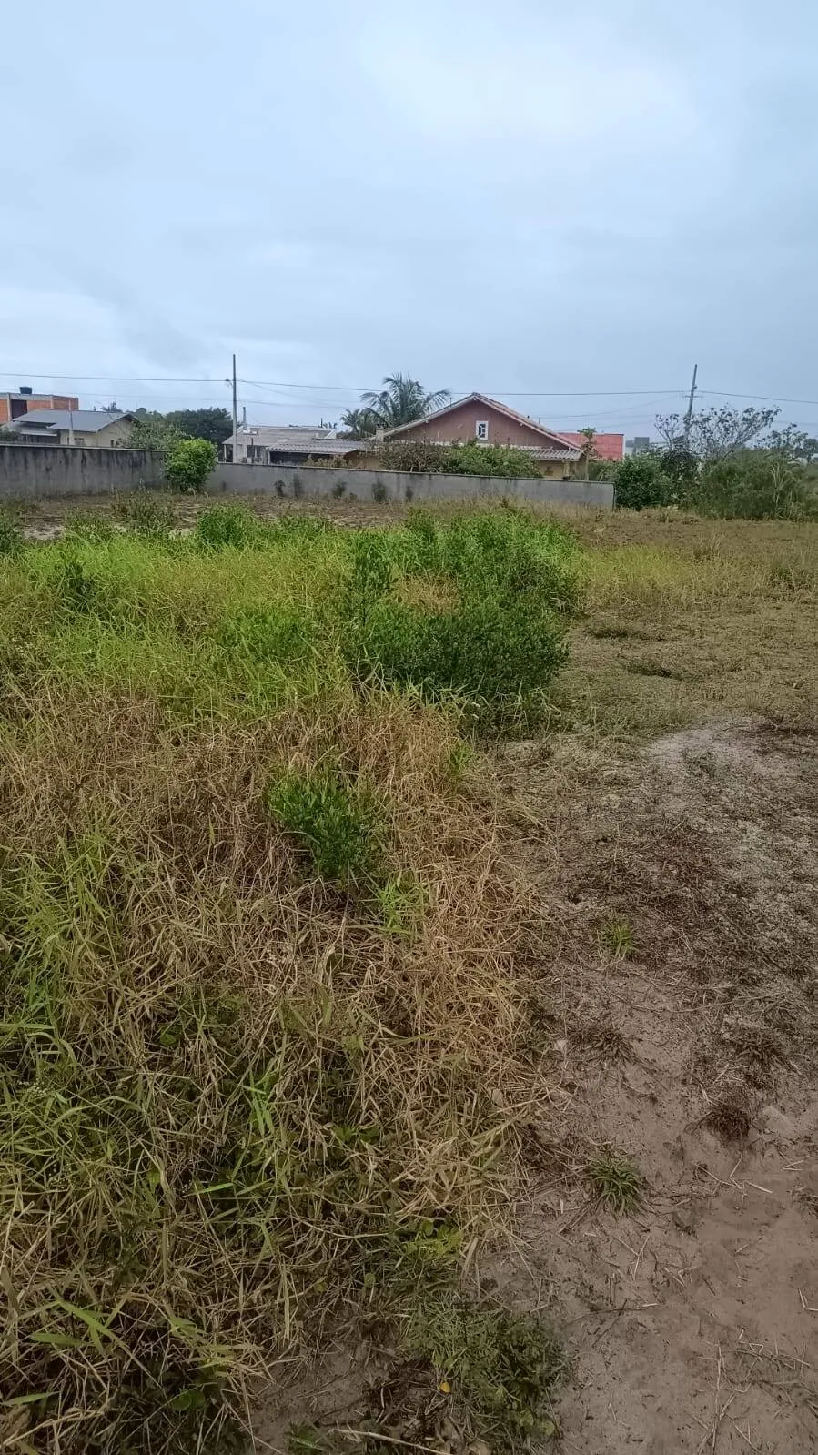 Imagem Vendo terreno na Praia do Ervino