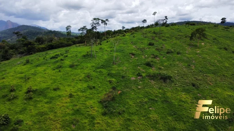Imagem FAZENDA À VENDA A 60KM DE COLATINA / ES