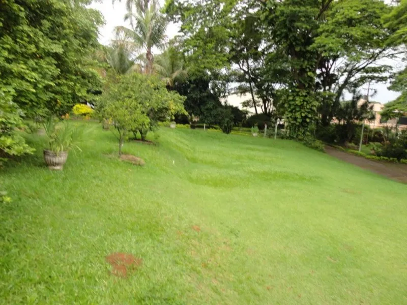 Imagem Oportunidade única: Área Comercial à venda em Valinhos-SP, no Jardim Paiquerê, com 1 quarto, 1 sala, 1 banheiro e 600,00 m².