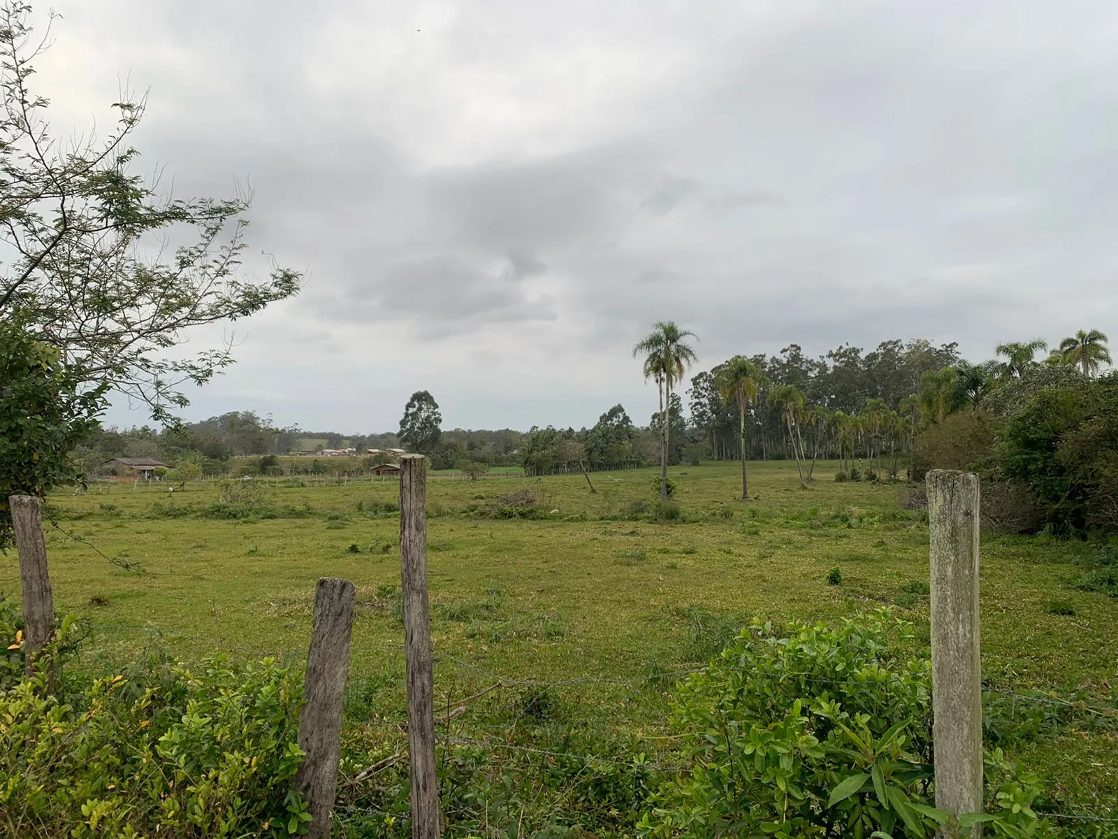 Imagem Lote à venda em Torres, Centro, 1700m2