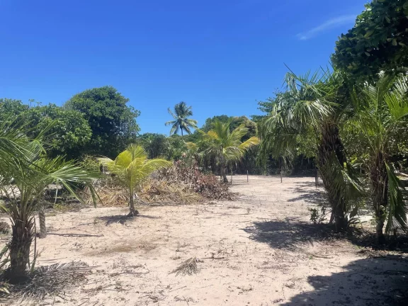 Imagem Terreno Praia Arandis