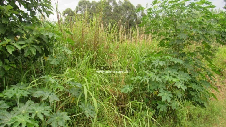 Imagem Terreno para Venda em Concórdia, Industriários