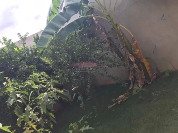 Imagem Casa Muito Bem Localizada, Bairro Novo Porém Ja Está Populoso
