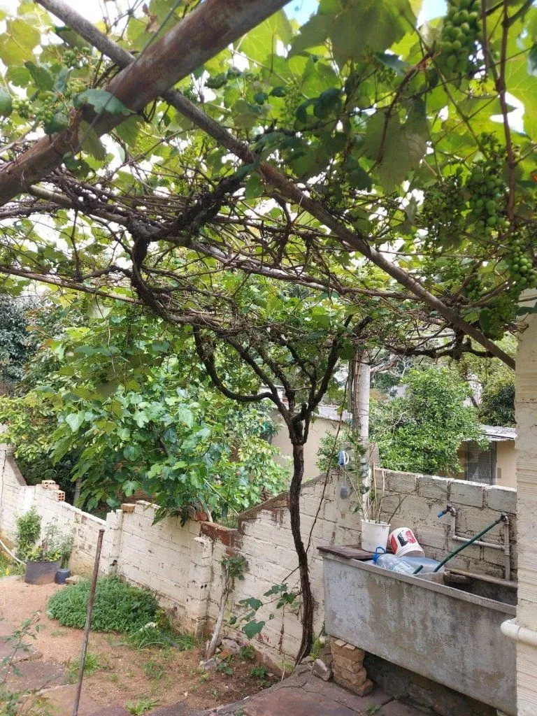 Imagem Casa 3 Dormitório(s) Bairro Teresópolis