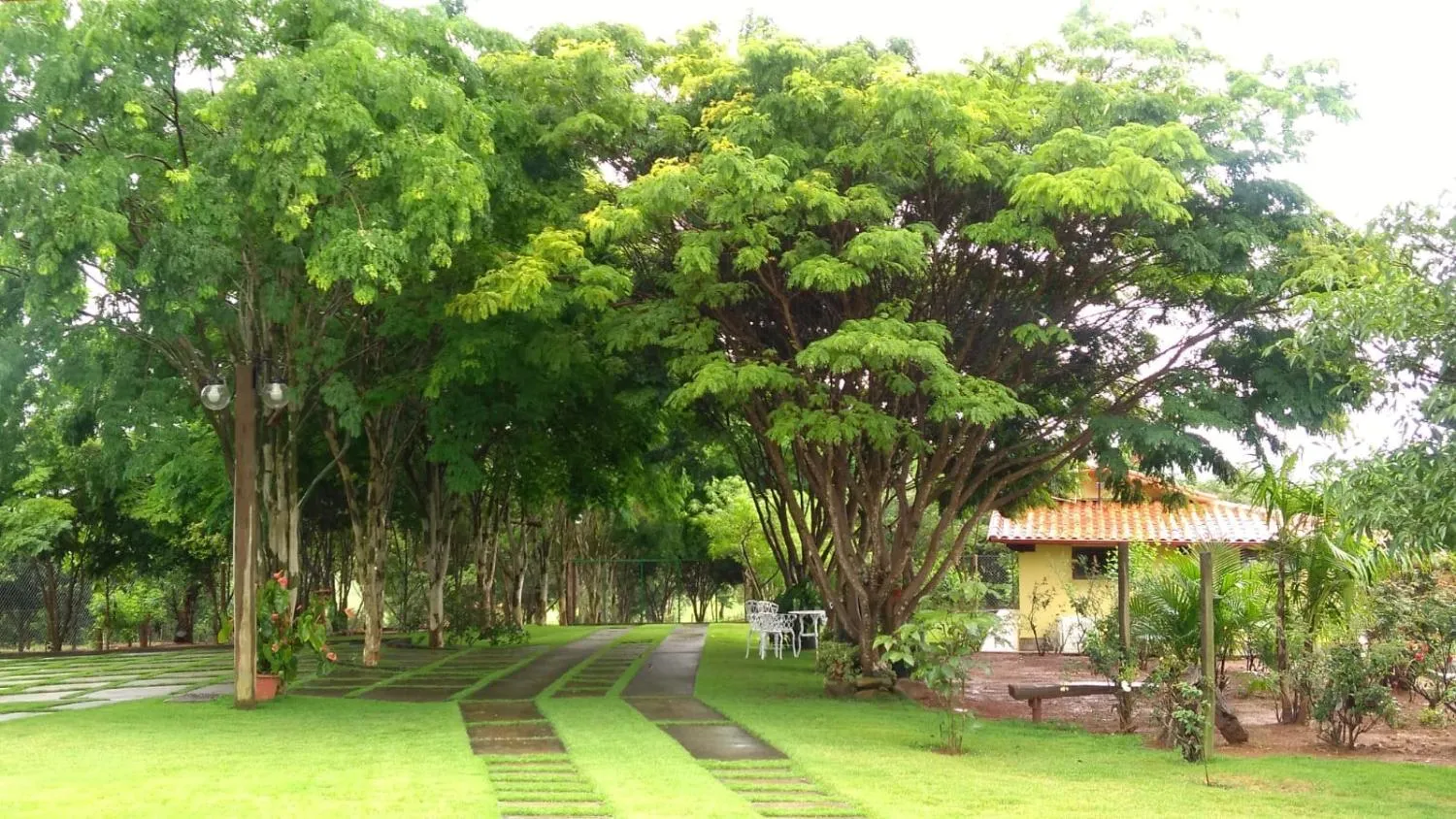 Imagem Vendo um magnífico sítio em Piedade dos Gerais - com 14,5 hectares (145.000 m²) de terreno,