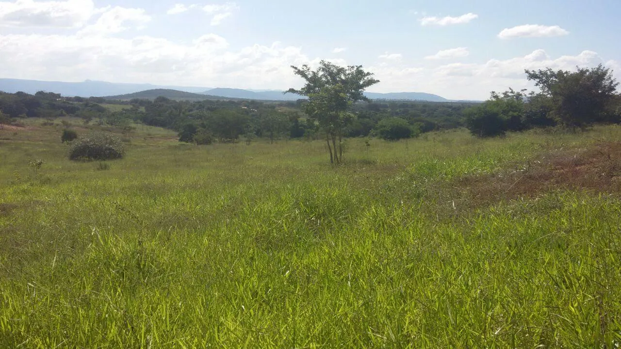 Imagem Oportunidade Imperdível: Fazenda de 1.272 Hectares em Augusto de Lima