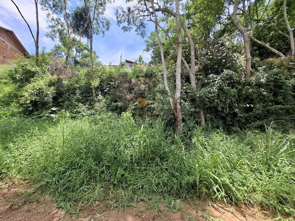 Imagem Terreno para Venda em Teresópolis / RJ no bairro Albuquerque
