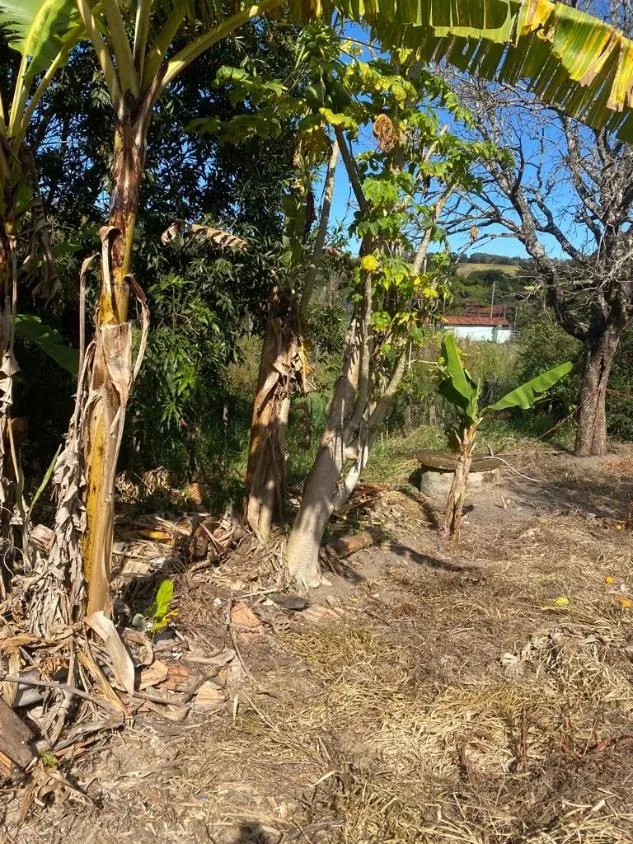 Imagem Chácara à venda em Bonfim/MG com 3.000 m² de area