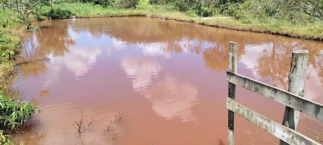 Foto do imóvel vendo um belo sítio em Piedade dos Gerais /MG com 12 hectares de terra ( 120.000 m² ),