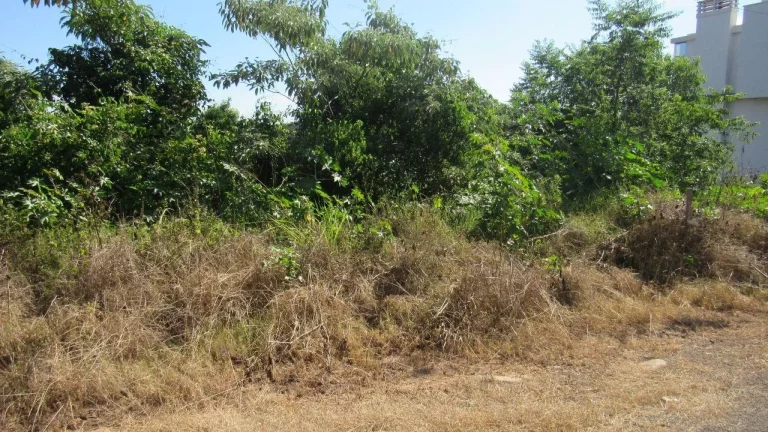 Imagem Terreno para Venda em Concórdia, Jardim