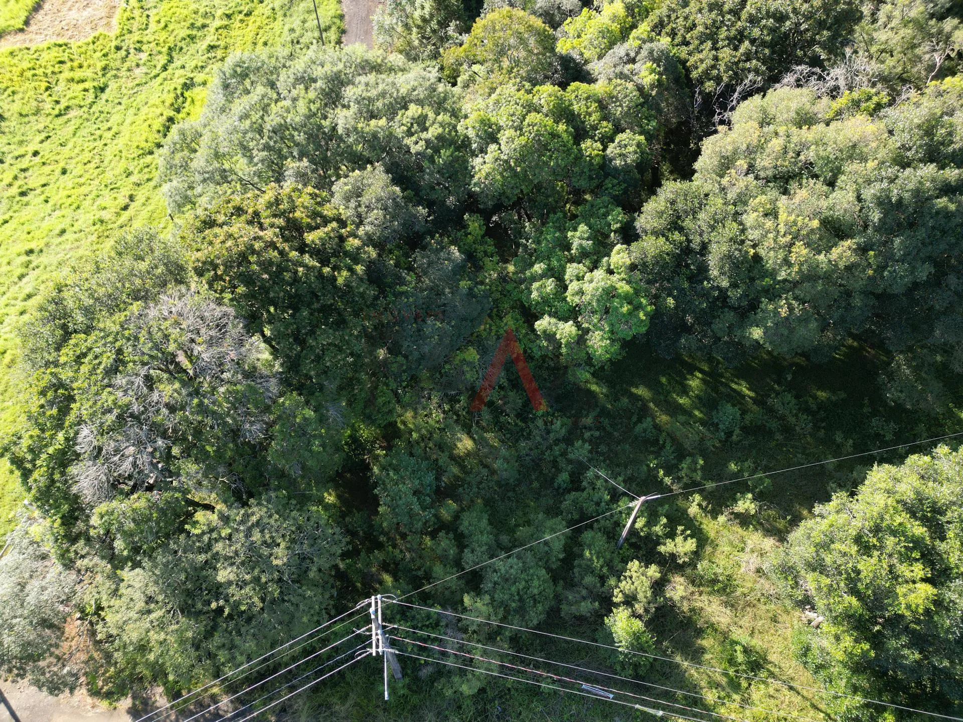 Imagem Terreno à venda com 3752.00 m no BOQUEIRÃO em GUARAPUAVA - PR