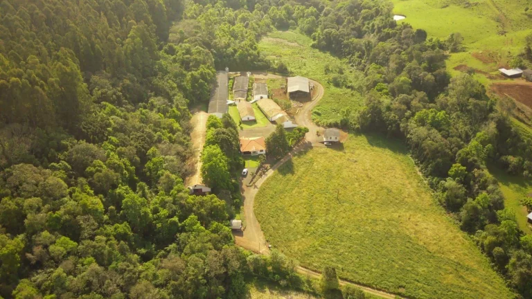 Imagem Granja para Venda em Concórdia, Rural