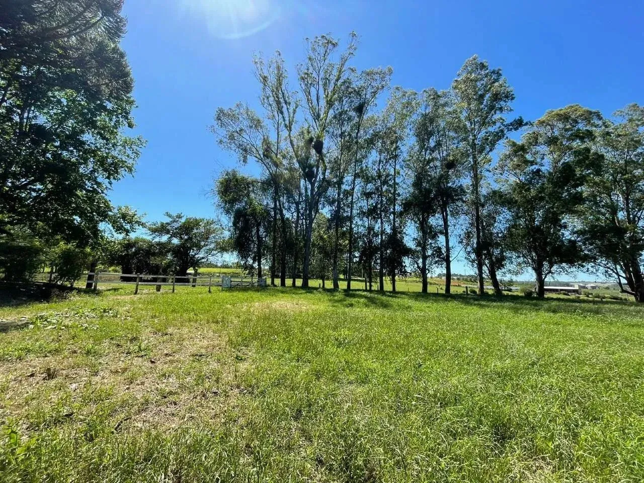 Imagem 90 Hectares de frente para o asfalto em Viamão