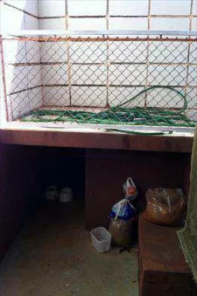 Imagem Casa Padrão