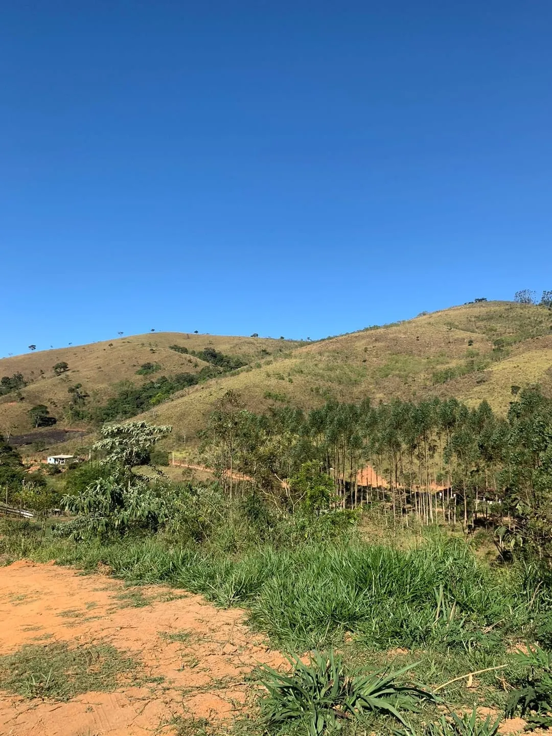 Imagem Chácara com 40.000m² em Lagoinha - Amplo Espaço e Total Privacidade