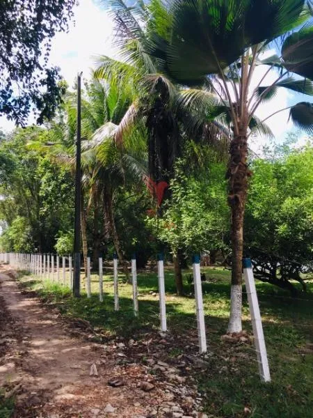 Imagem Casa 3 dormitórios 1 suíte 140000m² 4 vagas Municipios Santa Rita/PB