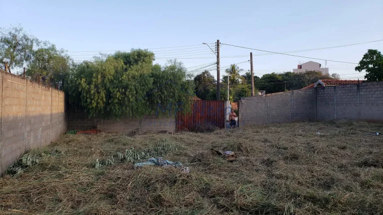Imagem Terreno Padrão