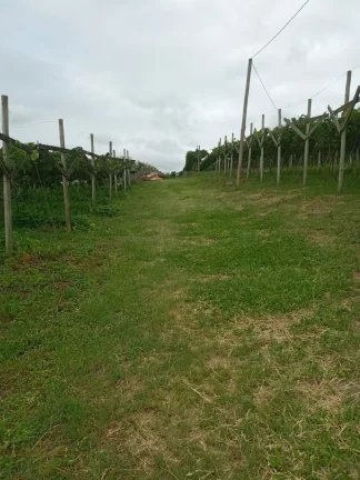 Imagem 13 mil m² - EXCELENTE ÁREA RESIDENCIAL PARA VENDA NO BAIRRO DO POSTE (PRÓXIMO ROD. BANDEIRANTES) , JUNDIAI SP