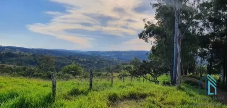 Imagem Fazenda em Abadiânia, muita água (permuta total se for em Goiânia) GOIANIA - GO