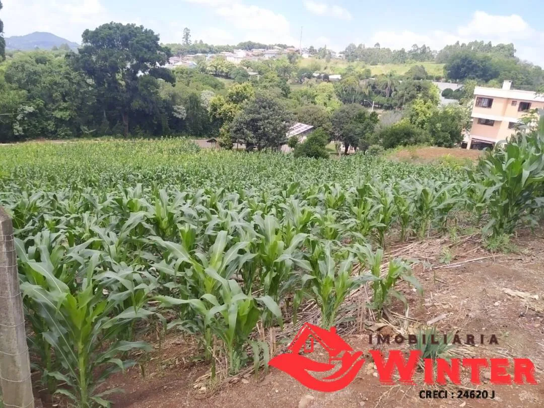Imagem Terreno com 781m² em Alto Feliz.