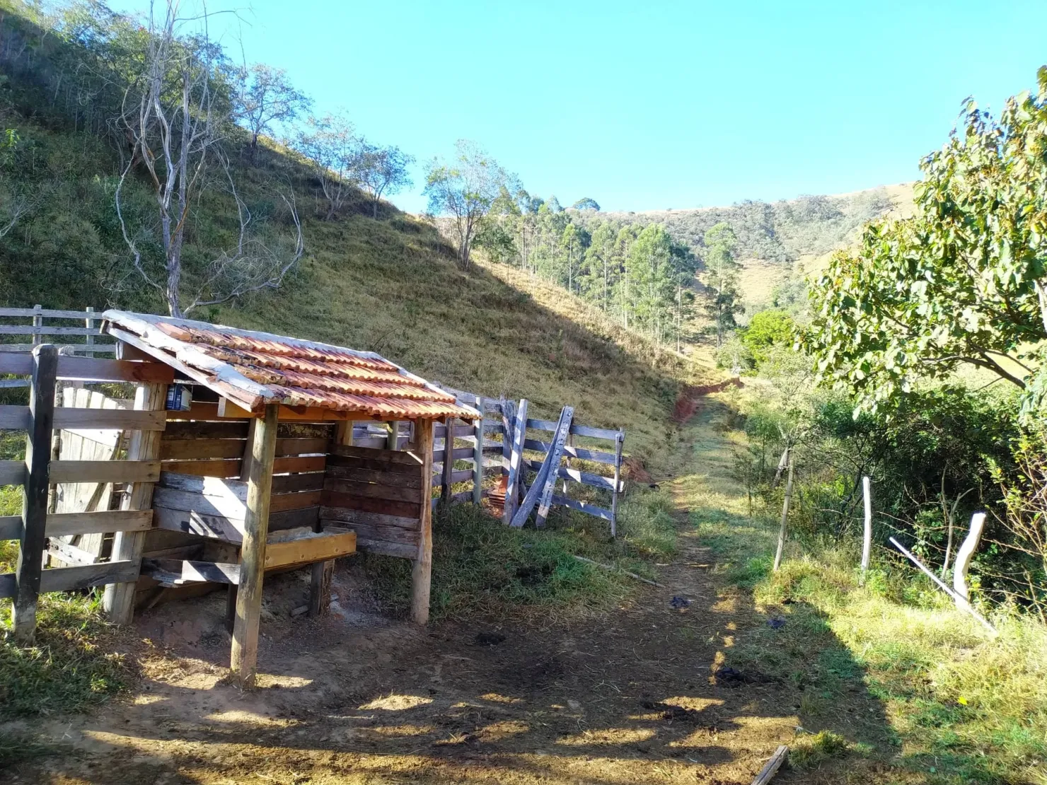 Imagem Chácara à venda 3 Quartos, 36000M², Zona Rural, Cunha - SP