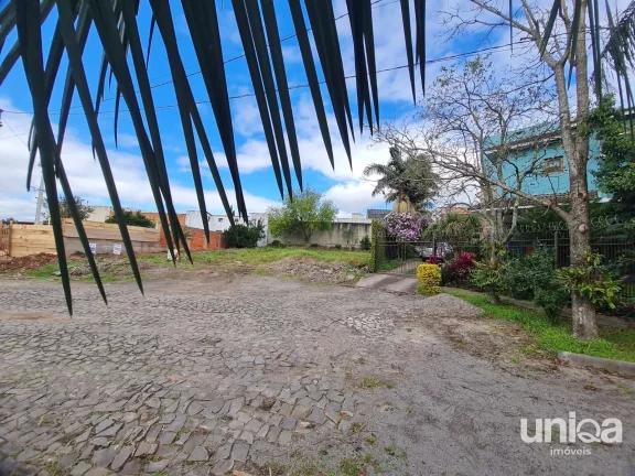 Foto do imóvel Terreno para venda com 468m2 no Novo Horizonte em Camobi